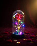 Eternal Rose